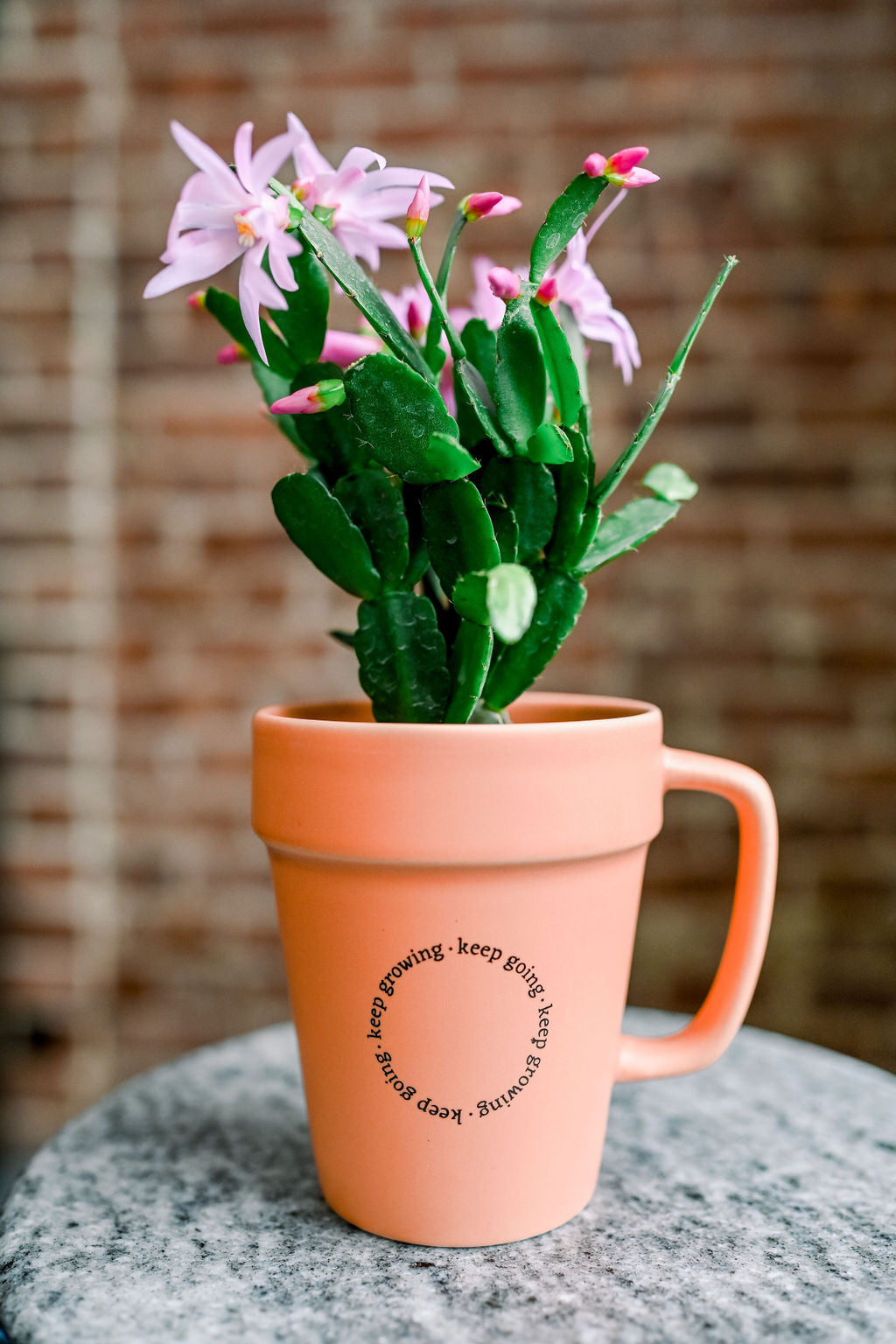 Keep Growing Planter Mug