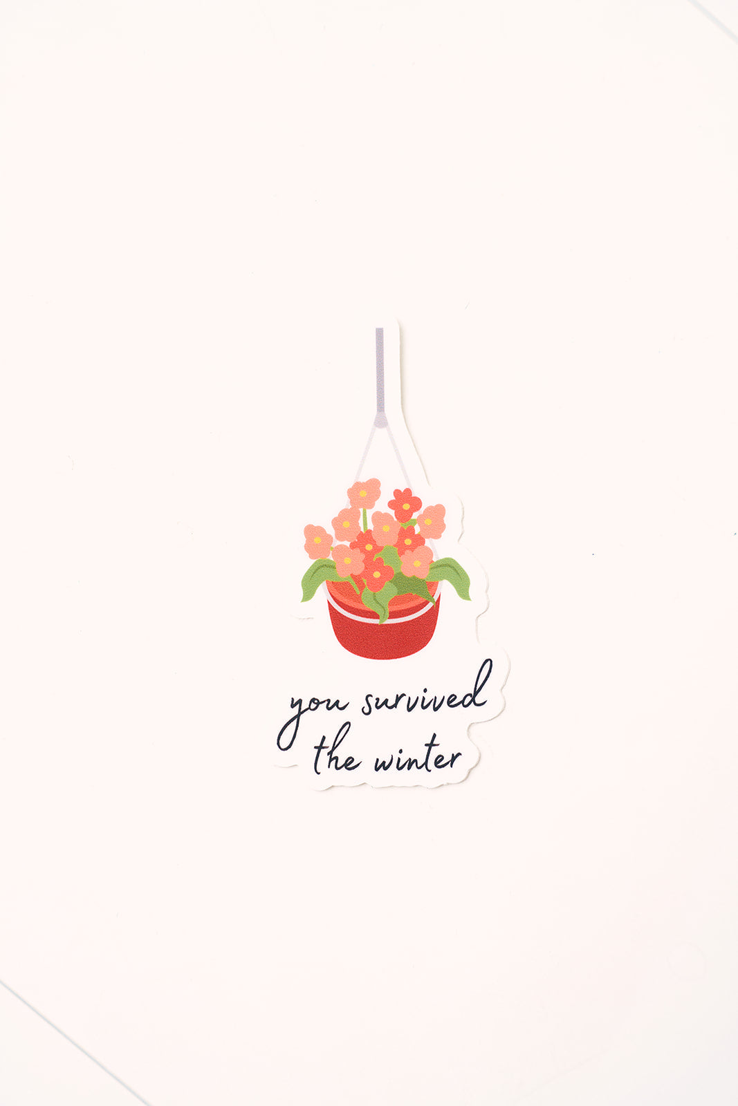 Bloom Sticker Pack