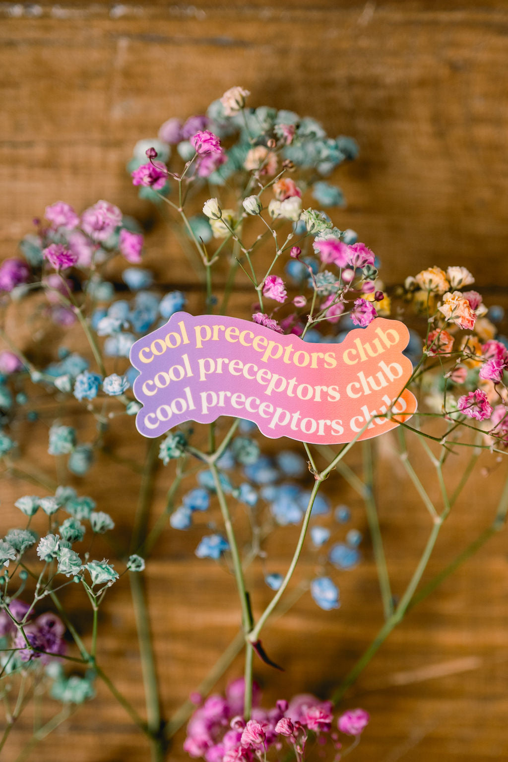 pink baby's breath flower - Pink Babys Breath Flower - Sticker