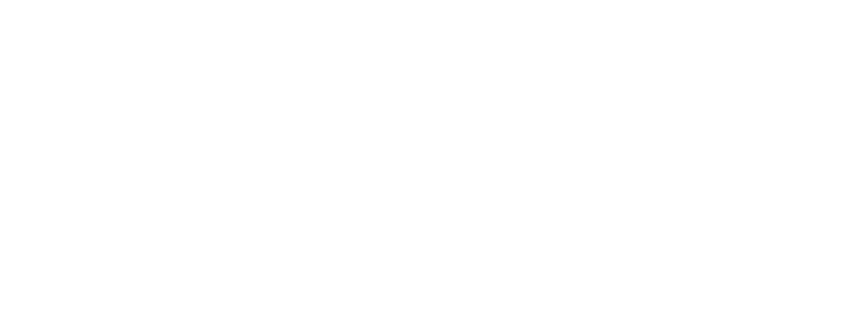 Purpose People logo